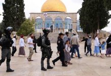 بحماية قوات الاحتلال.. عشرات المستوطنين يقتحمون المسجد الأقصى