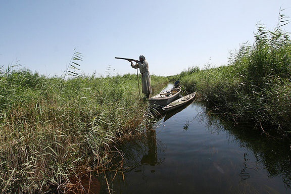 افزایش نگرانی‌ها از خشک شدن تالاب‌های عراق و پیامدهای آن