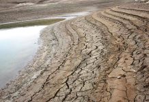 تداعيات انخفاض مناسيب المياه في العراق.. انتشار الحشرات والأمراض